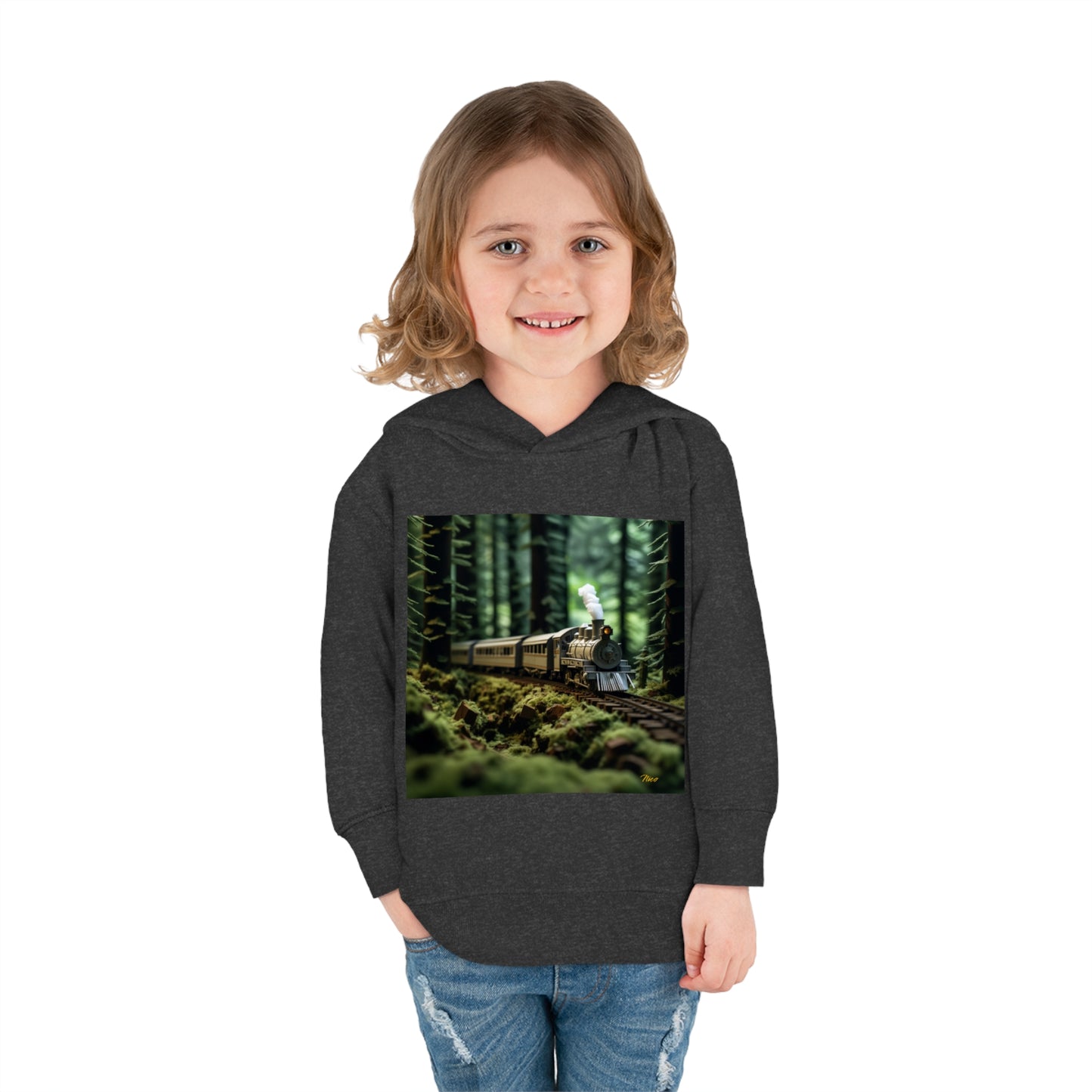 Orient Express Series Print #7 Toddler Pullover Fleece Hoodie